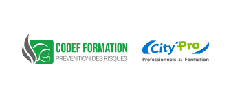 CODEF FORMATION